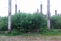 Semak setinggi 2 meter lebih di bangunan terbengkaklai masih saja dibiarkan (Foto KuansingKita)