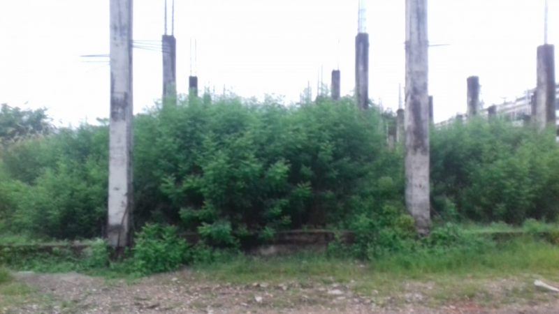 Semak setinggi 2 meter lebih di bangunan terbengkaklai masih saja dibiarkan (Foto KuansingKita)