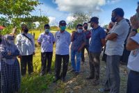 Bupati Mursini meninjau Poskowas di perbatasan Kuansing- Dhmasraya, Sumbar (Foto Jubir Covid 19)