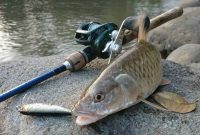 Ilustrasi lomba pancing (Foto Istimewa)