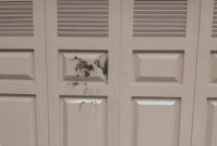 Pintu depan rumah kediaman Agus Salim di Muaro Sentajo dilempari taik kerbau (Foto dok Agus Salim)