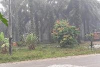 Aktivitas PT SUN kmbali menyiksa warga. Asap tebal yang menyesakkan, kembali   menyelimuti pemukiman warga (Foto Medsos Muhammad Yasin)