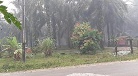 Aktivitas PT SUN kmbali menyiksa warga. Asap tebal yang menyesakkan, kembali   menyelimuti pemukiman warga (Foto Medsos Muhammad Yasin)