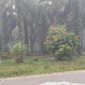 Aktivitas PT SUN kmbali menyiksa warga. Asap tebal yang menyesakkan, kembali   menyelimuti pemukiman warga (Foto Medsos Muhammad Yasin)