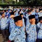 ASN (Foto Istimewa)