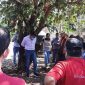 Tak tepati janji kampanye, Walikota Frontera Comalapa diikat warga di pohon (Foto daily star)