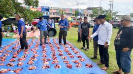 Ketua Demokrat Kuansing, Fedrios Gusni hadir langsung di lokasi pembagian daging korban (Foto RPG/Martias Yahya)