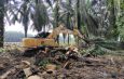 Replanting Perkebunan Sawit PT KTBM di Pucuk Rantau Wajib Didukung AMDAL Baru