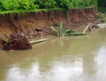 Dinas PUPR Kuansing Ajukan Proposal ke Kementrian PU untuk Pembangunan Tanggul Sungai Kuantan Sepanjang 1.050 meter