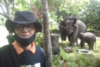 Gajah Teso Nilo (Foto Dok KuansingKita)