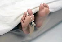 Ilustrasi (Dok Berauterkini.go.id)