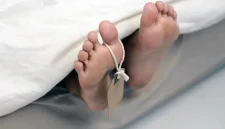 Ilustrasi (Dok Berauterkini.go.id)