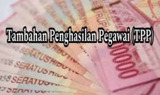 TPP Tidak Boleh Diremehkan karena TPP Mendorong Kinerja dan Prilaku Inovatif